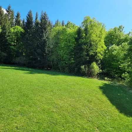 Gasthof U Petra Lipová-lázně
