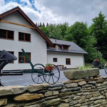 U Petra Πανσιόν Lipova Lazne